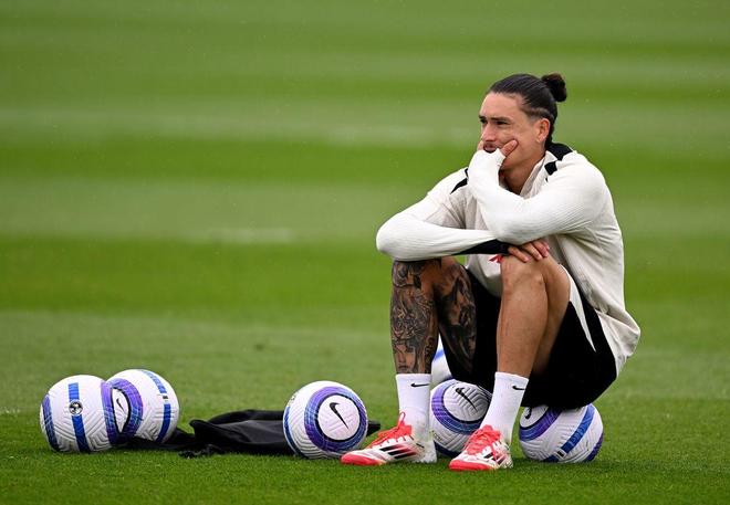 子显示了篮 子显示了篮