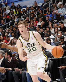 马的合同 马的合同